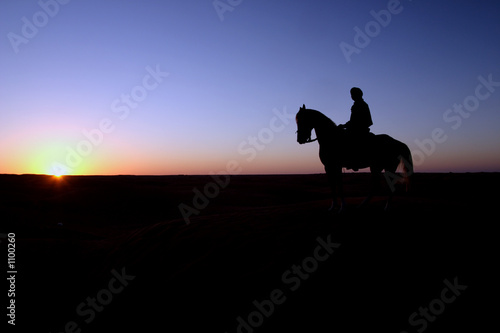 cavalier berbere devant un coucher de soleil
