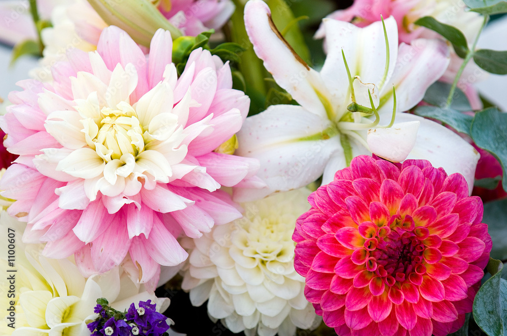 Obraz premium flower background