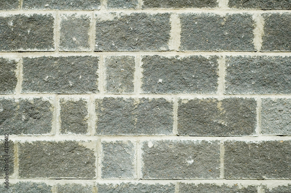 Obraz premium laying