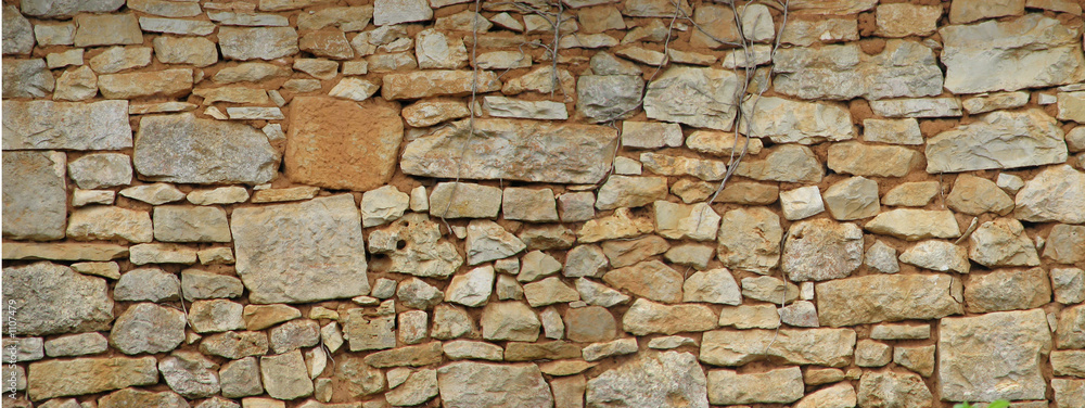 Fototapeta premium mur de pierres