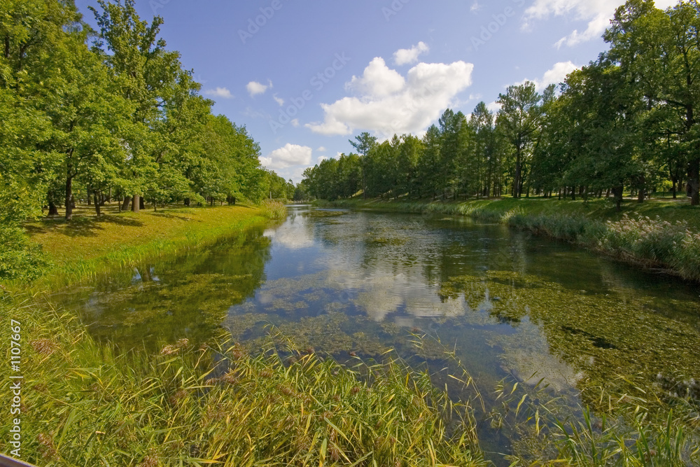 Obraz premium pond