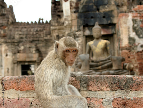 singe temple lobpuri thailande