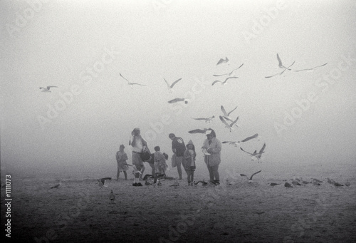 family on foggy beach with seagulls