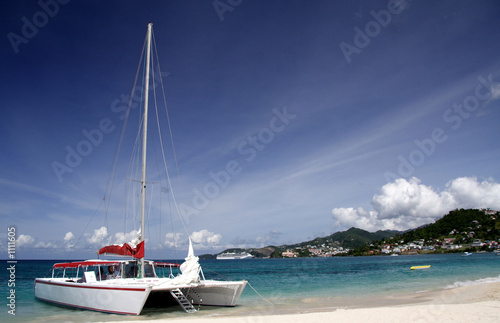 sailing in paradise