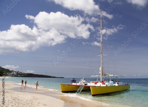 sailing in paradise