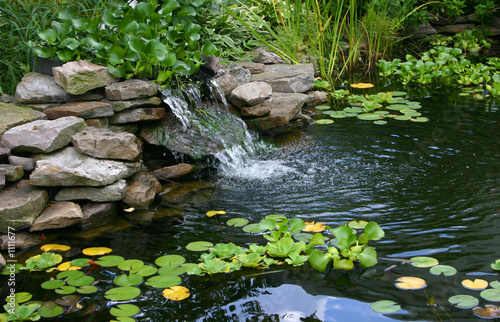 Fotomurale homemade pond
