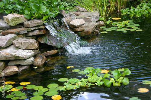 small pond
