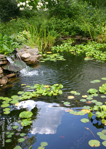 homemade pond