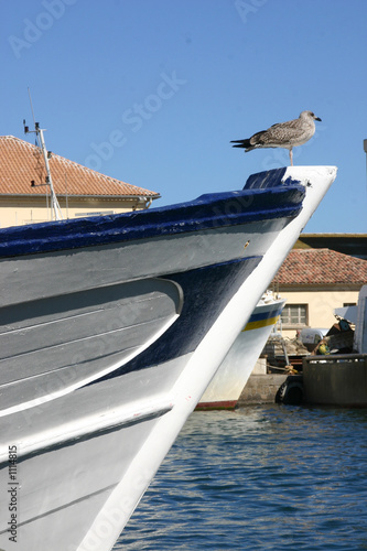 mouette sur un bateau