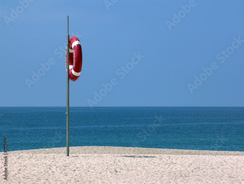 life-buoy