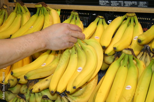 picking bananas