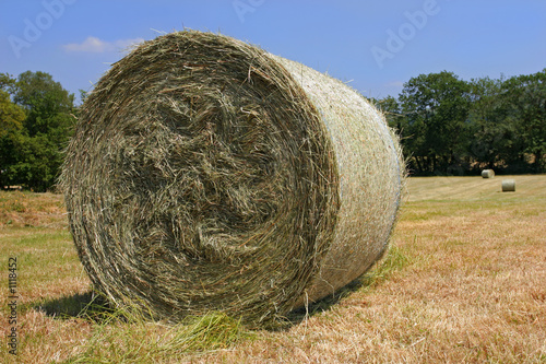 hay harvest
