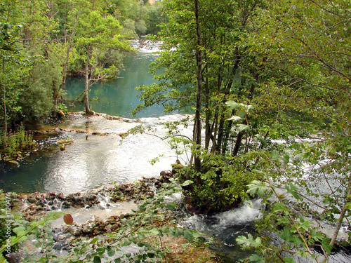 real nature