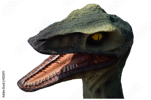tête de dinosaure photo