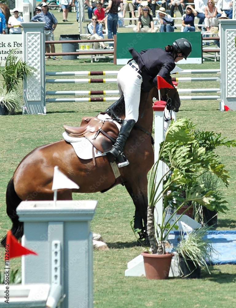 horse refusing jump Stock Photo Adobe Stock