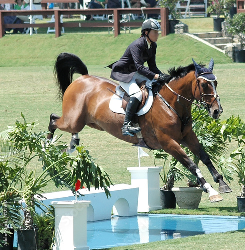 horse and rider jumping water