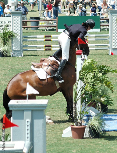 horse refusing jump