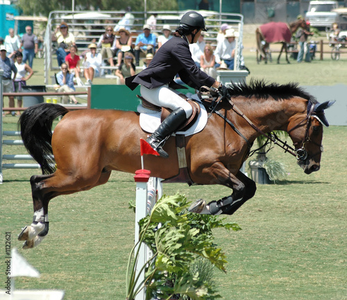 horse & rider jumping a barrier