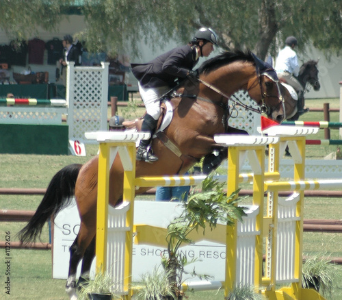 horse jumping a barrier