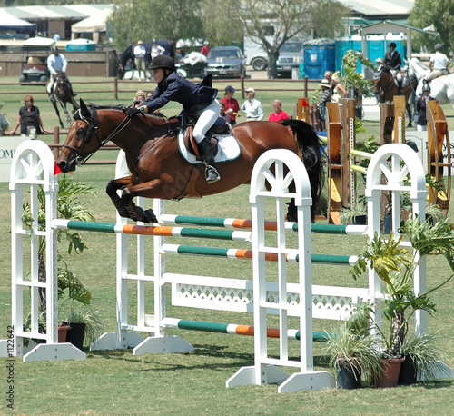 horse & rider jumping a double barrier