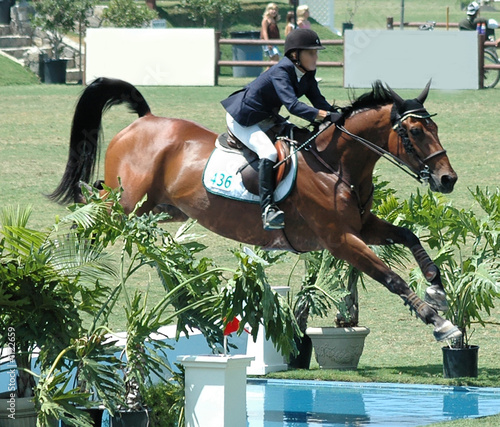 horse & rider jumping water