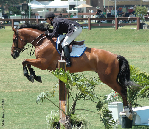 horse jumping a high gate