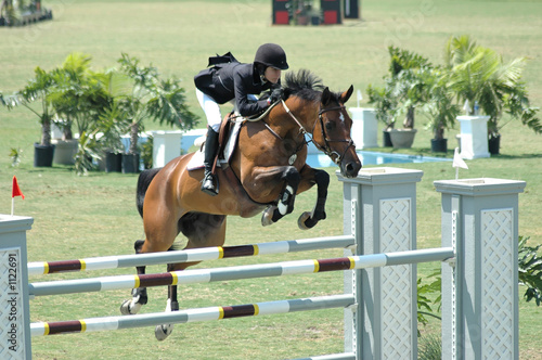 horse jumping a barrier