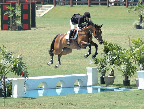 horse jumping a water barrier