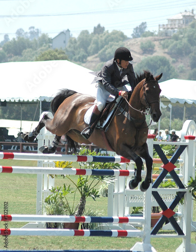 horse jumping an obstacle