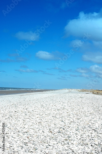 pebble beach