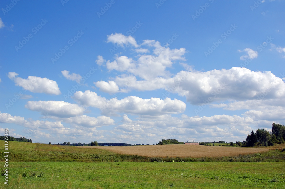summer landscape with clouds