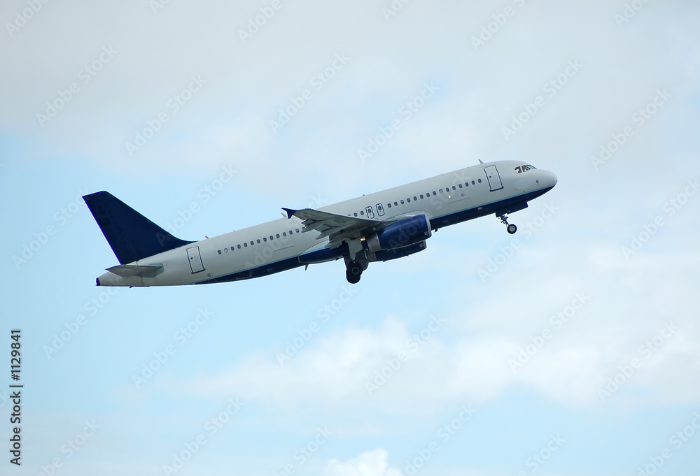 Obraz premium airbus passenger jet