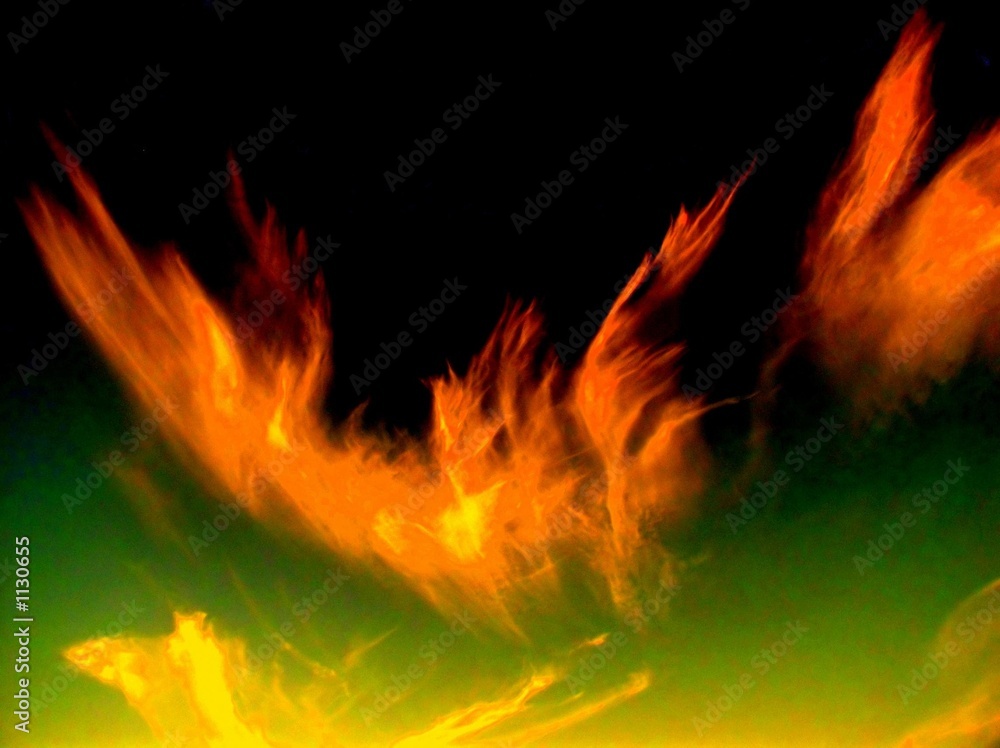 Fototapeta premium fire phoenix