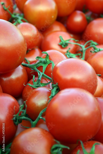 tomato