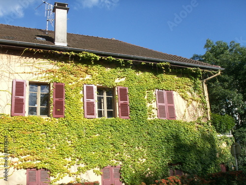 Quadro em tela facade maison en lierre