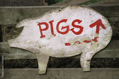 pig sign