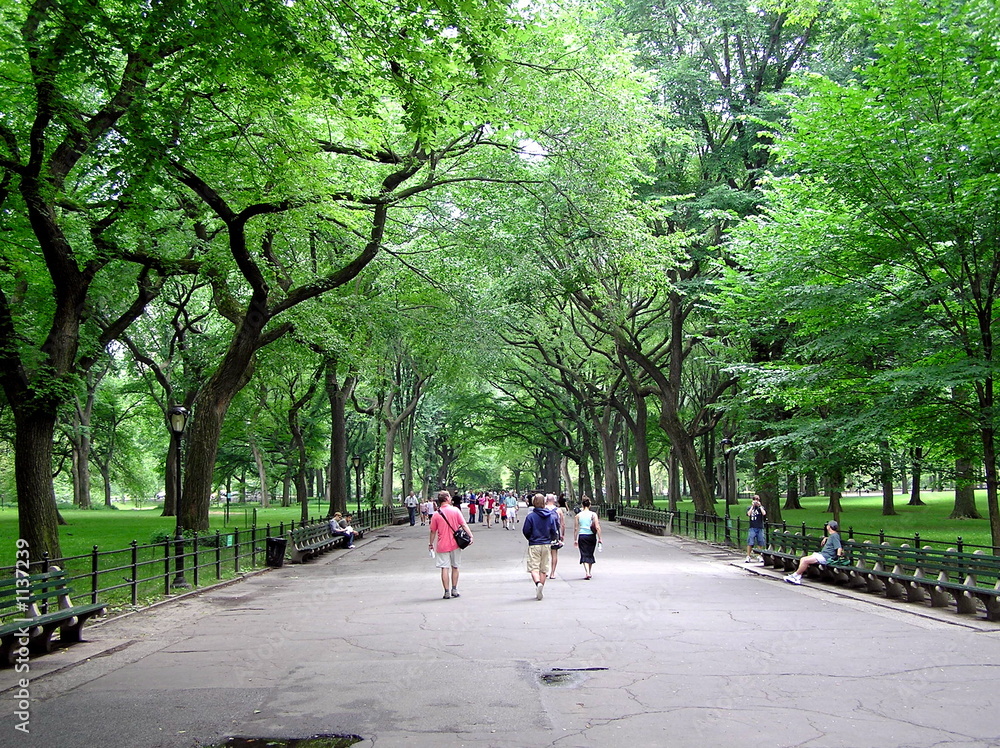 central park walkers