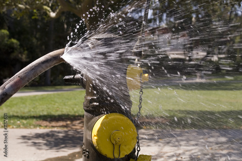 hydrant and leaky hose