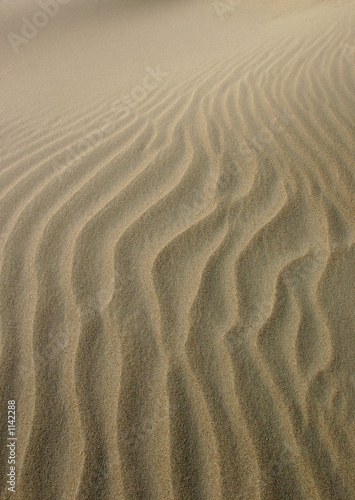 sand graphic