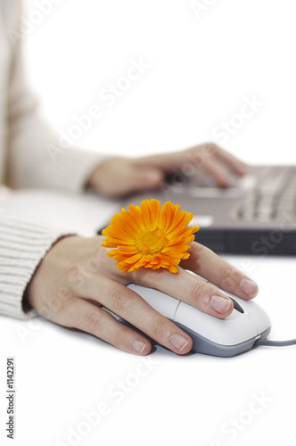 mouse