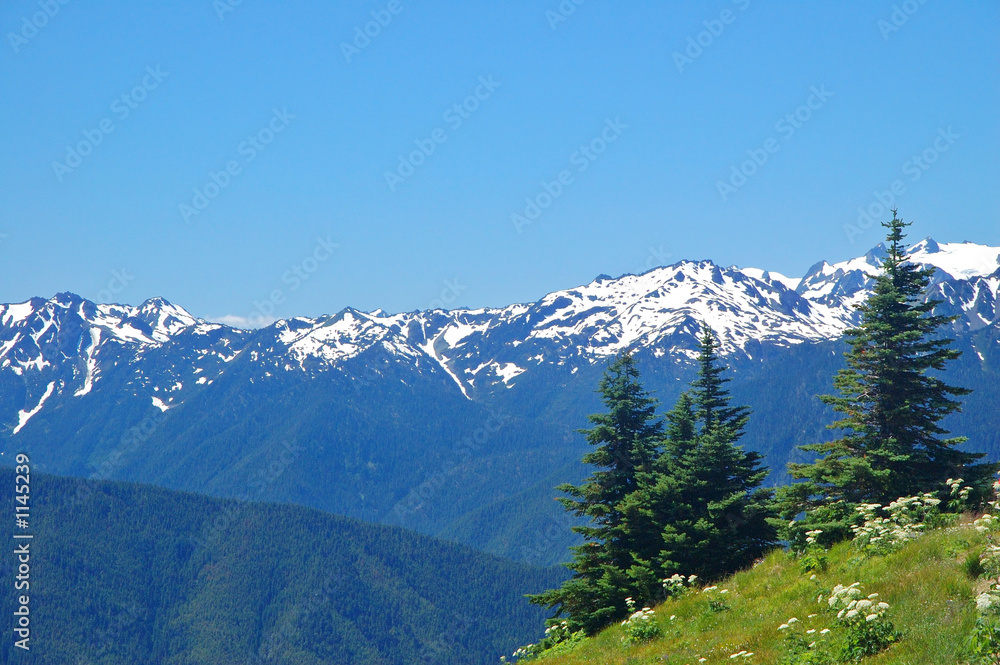 Fototapeta premium mountain views