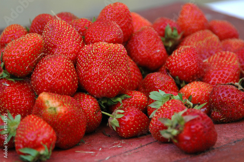 erdbeeren