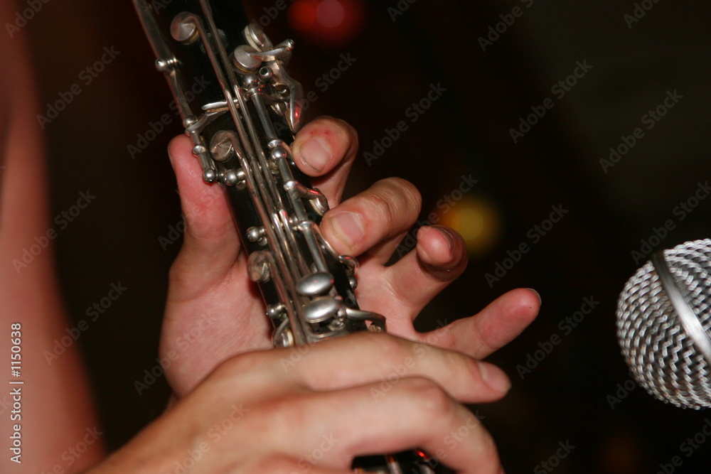 Fototapeta premium playing clarinet - 6