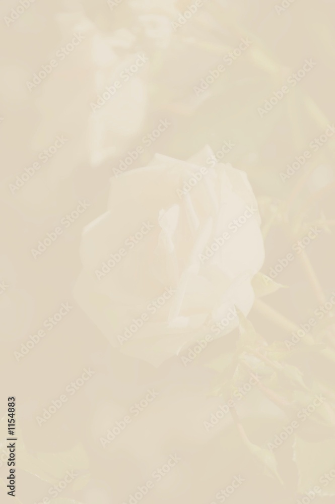 Fototapeta premium stationary paper
