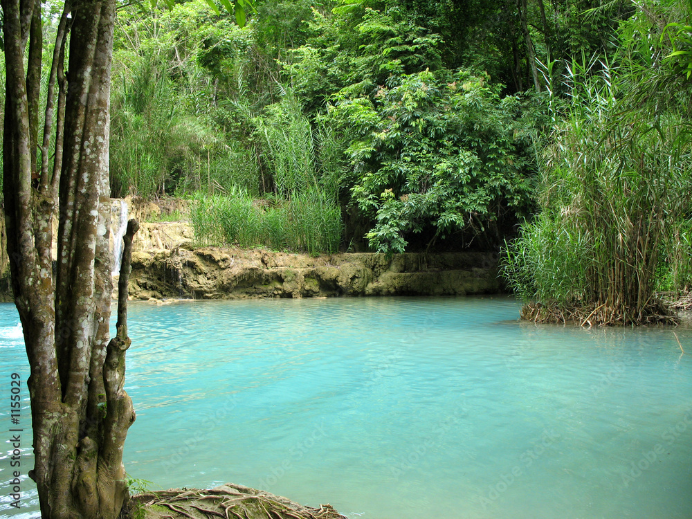 bassin turquoise dans végétation luxuriante bassin turquoise dans végétation luxuriante