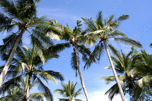 bali sky