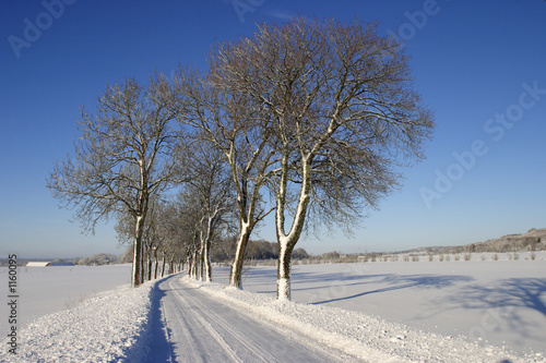 winter road © Lars Johansson