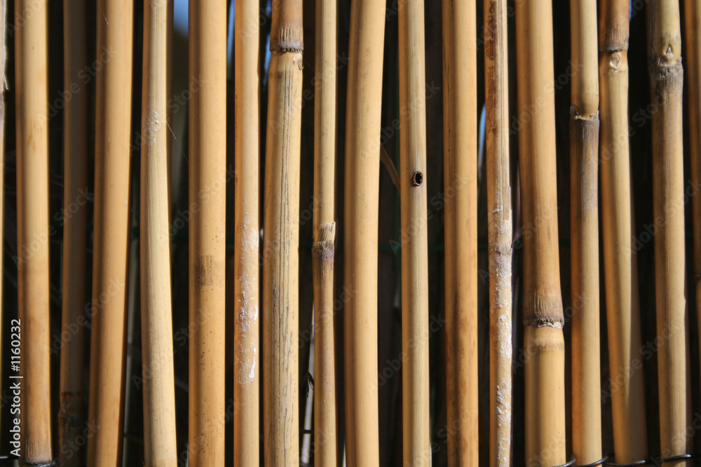 Naklejka premium bamboo background