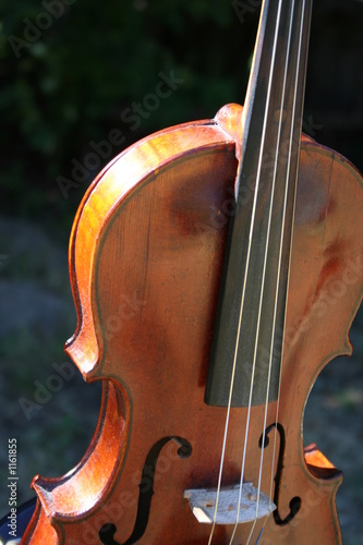 Принти на полотні violin