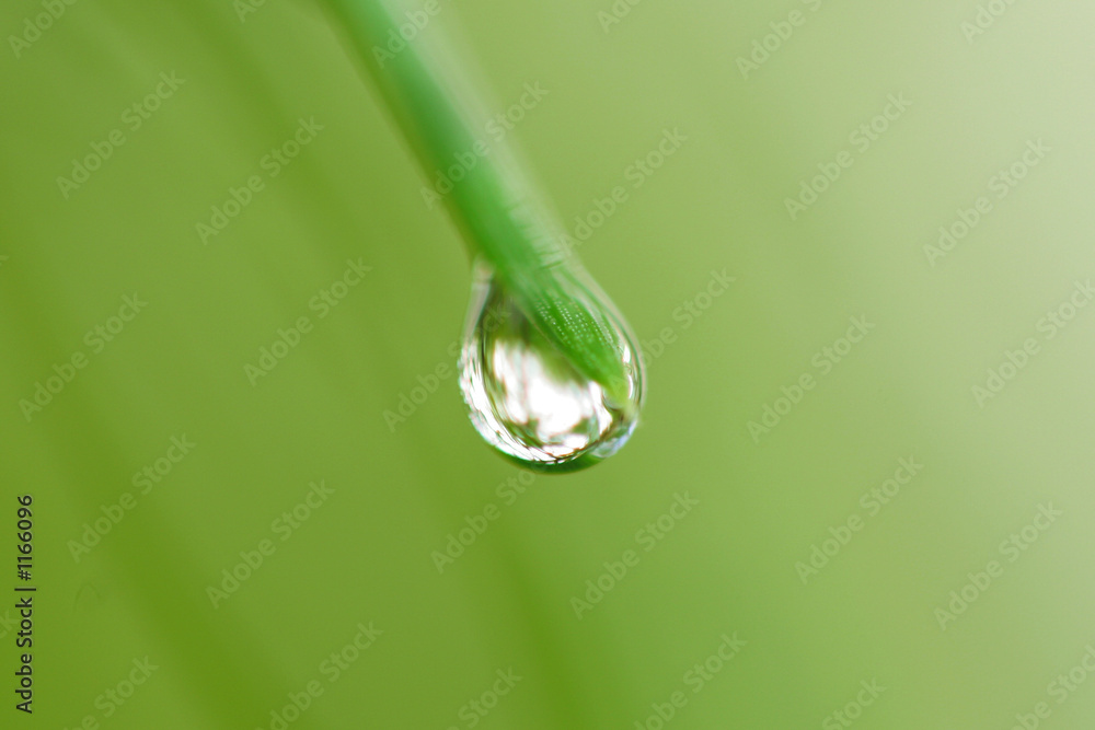 wassertropfen - drops and water 02 wassertropfen - drops and water 02